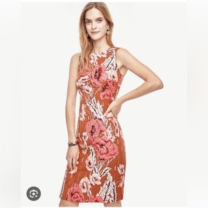 Ann Taylor NWT 6 Poppy jacquard shift dress